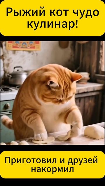 Рыжий кот чудо кулинар
