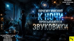 Почему именно к ночи просыпаются звуковики