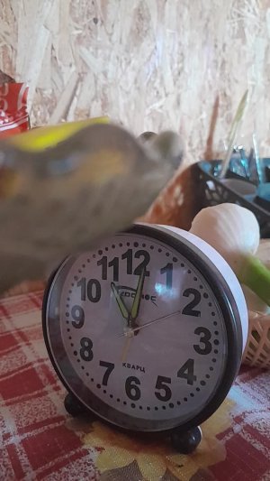 ВСЕ ПРО ВСЕ