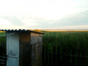 играю в прятки