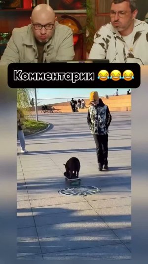 КОММЕНТАРИИ ОТДЕЛЬНЫЙ ВИД ИСКУССТВА🤣😱 Ч. 184
