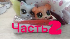 ПРИЮТ 1 СЕЗОН 7 СЕРИЯ: «ПОЕЗДКА». ЧАСТЬ 2.🐶✈