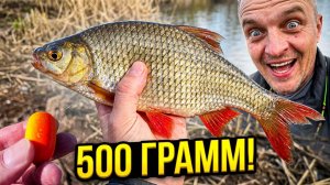 Рыбалка на попла поппер! Лучшая снасть в запрет ☺️☝️