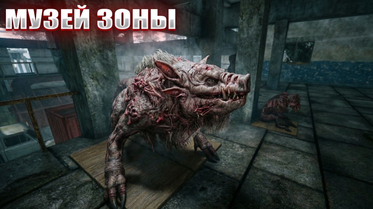 МУЗЕЙ ЗОНЫ 111  СТАЛКЕР НАРОДНАЯ СОЛЯНКА OGSR 2026