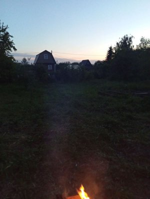 Новички на даче
