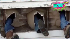 «СМЕШНЫЕ ВИДЕО: ПРИКОЛЫ, КОТОРЫЕ НЕЛЬЗЯ ПРОПУСТИТЬ»
