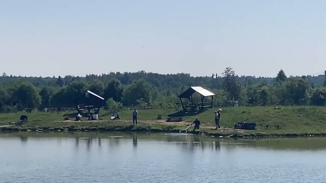 поимка африканского сома