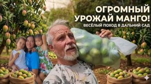 ИСХОД РУССКИХ МУЖИКОВ В ДЖУНГЛИ.  ВИЗИТ К НАШЕЙ ЗНАКОМОЙ) УБИРАЕМ УРОЖАЙ МАНГО!