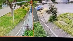 #ТЕРРОРИСТЫ ДАВНО ЭТО ВСЕ С ВАМИ . ЭПШТЕЙНПИДАРОФИЛЫ УДАЛЯЮТ МОИ ВИДЕОПРОТОКОЛЫ С МОИХ РУТЮБ, ВК, ТЕ