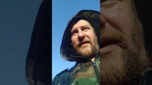 начало битвы с пчёлами