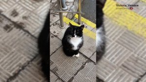 Доброе утречко, суббота начинается с улыбки 💖👍🤗
