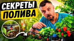 ВАШИ РАСТЕНИЯ БОЛЕЮТ ИЗ-ЗА ЭТОЙ ОШИБКИ