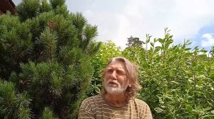 Феномены медитации. Собственный опыт.