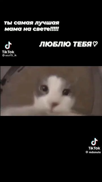 1267.mp4 смотреть онлайн