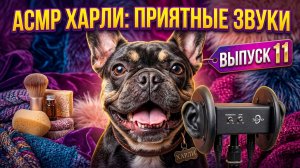 Мультики для детей. АСМР «Кто там в банке?» Выпуск 11