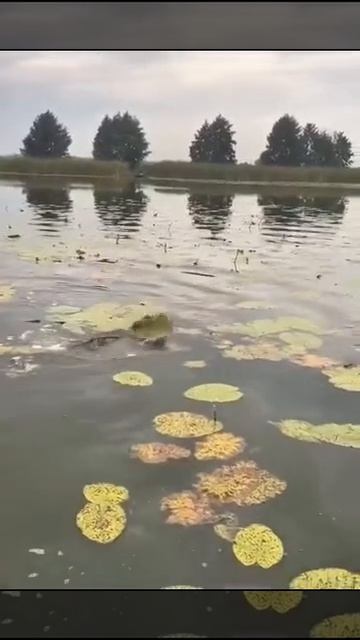 рыбалка смотреть онлайн
