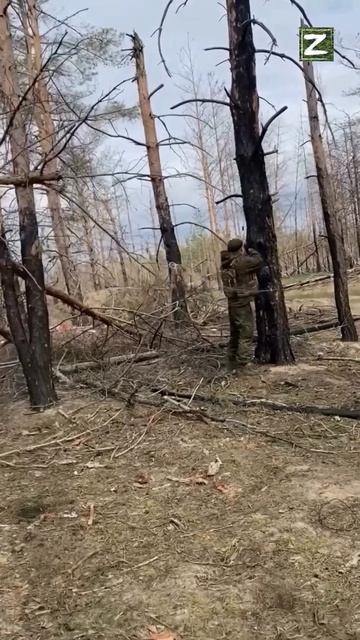 СВО