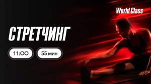 СТРЕТЧИНГ с Екатериной Ковпак | 13 июня 2026 | Онлайн-тренировки World Class