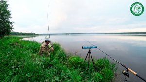 МУЖИК НА ЛИСАПЕДЕ СКАЗАЛ ЧТО РЫБЫ НЕТ ВООЩЕ! ДОЖДЬ ЛЬЁТ, А РЫБА КЛЮЁТ, РЫБАЛКА С НОЧЕВКОЙ НА ПРУДУ!