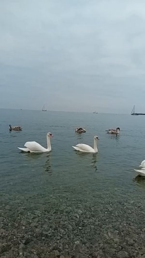 Евпатория.