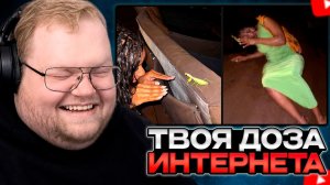 T2x2 СМОТРИТ: Насекомые сопротивляются // ТВОЯ ДОЗА ИНТЕРНЕТА
