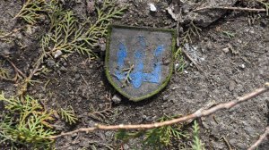 Боевики полка ВСУ «Волки да Винчи» скрывают потери в Запорожской области