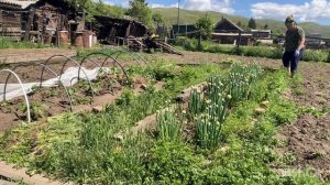 Для красного словца не пожалеет и отца с матерью