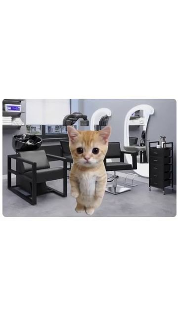 как работает Социофибия? смотреть онлайн