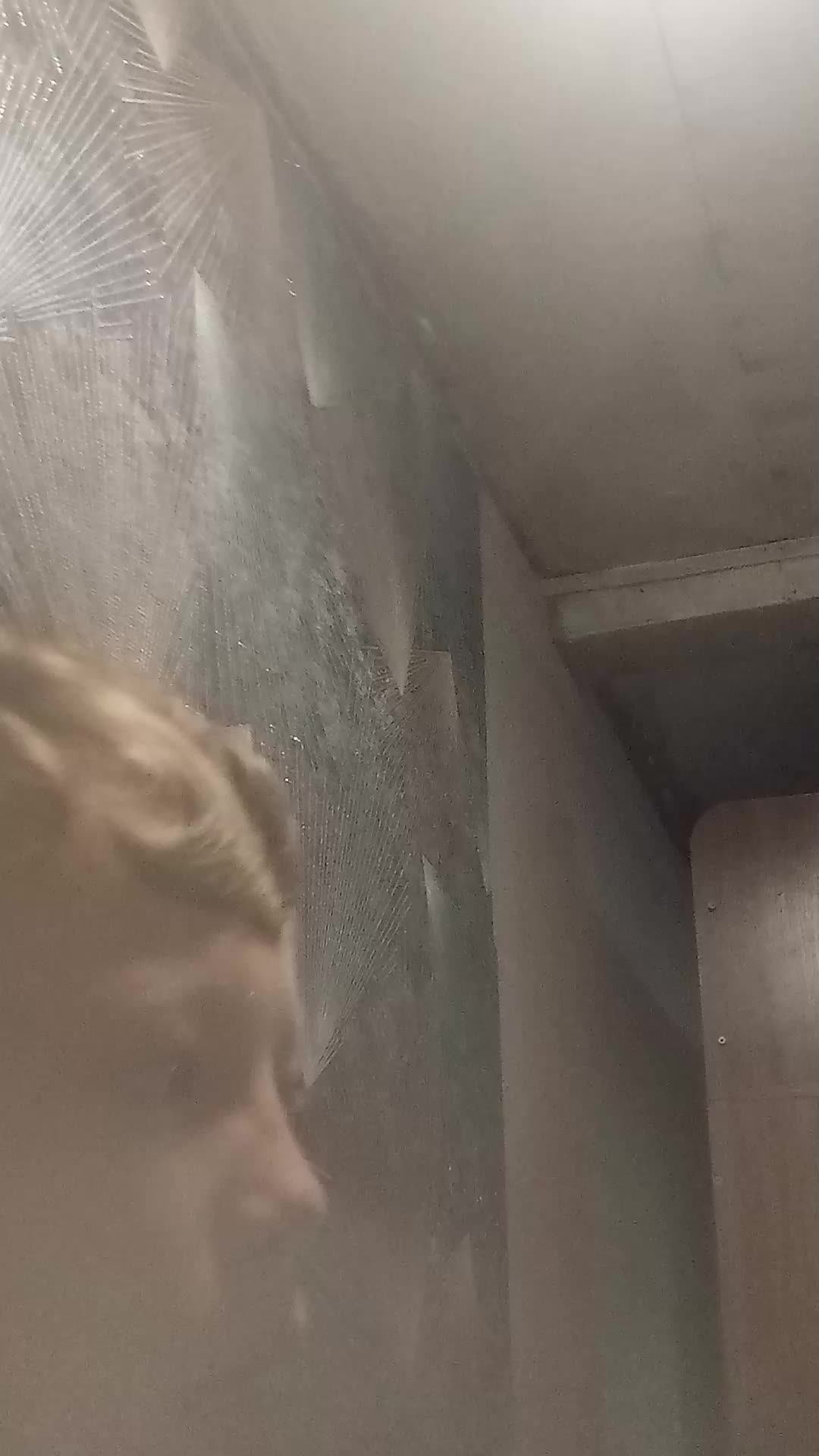 Друг ведёт стрим смотреть онлайн