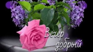 Вечернее видео.