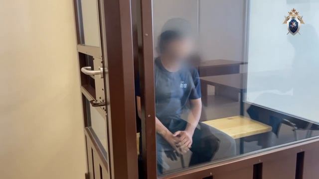 Суд арестовал подростка-мигранта, зарезавшего бизнесмена смотреть онлайн