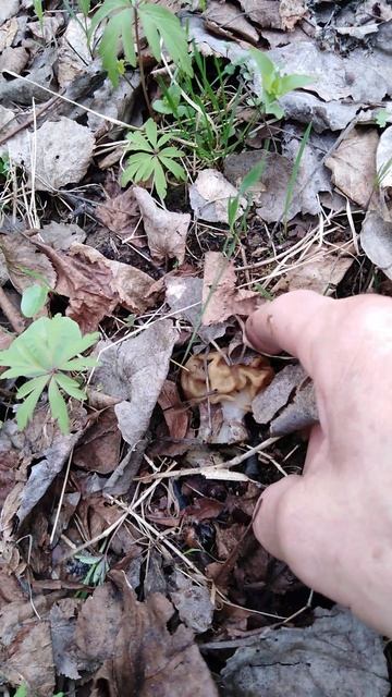 ✔Охота🔪 за строчками🍄 Часть 6✔