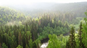 ТАЙГА. ЖУТКИЕ 90-Е В ТАЙГЕ# Это СКРЫВАЛИ Годами.