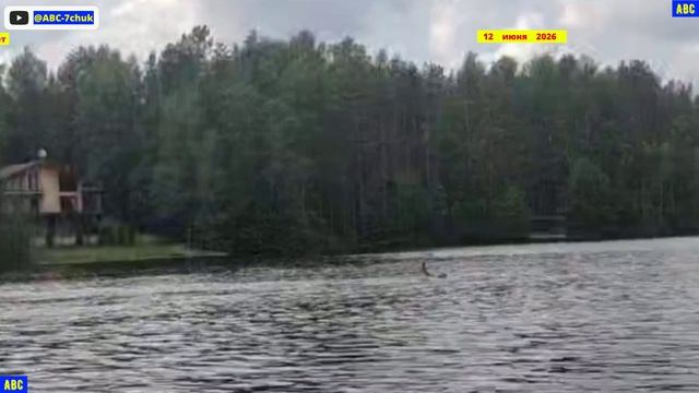 С днём РОССИИ 12.06.2026 #авсарх #юныйпрадедбодрыйдед