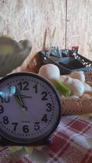 ВСЕ ПРО ВСЕ