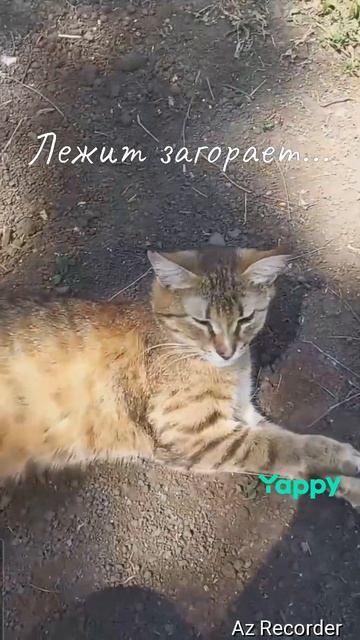 #💋💋💋♥️♥️♥️♥️♥️♥️ #лайк #🔥🔥🔥 #рекомендации #♥️♥️♥️♥️♥️♥️♥️♥️