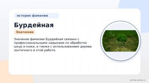 Фамилия Бурдейная: происхождение, значение и склонение