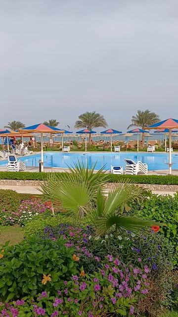 Rewaya Inn Resort (Ex. Hawaii Paradise Aqua Park Resort) Только в Бикини.