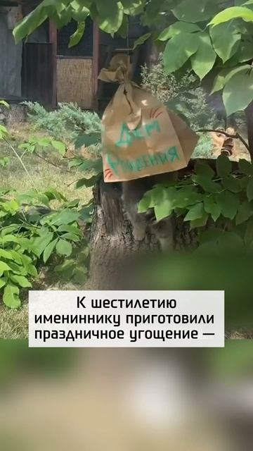 Звезда зоопарка отмечает 6 лет