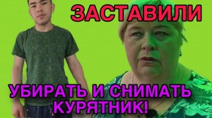 ЗАСТАВИЛИ СНИМАТЬ И УБИРАТЬ КУРЯТНИК. ОЛЬГА УРАЛОЧКА LIVE. АБУ УРАЛЕЦ. ОБЗОР.