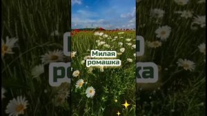 YouCut_20260612_001331391.mp4