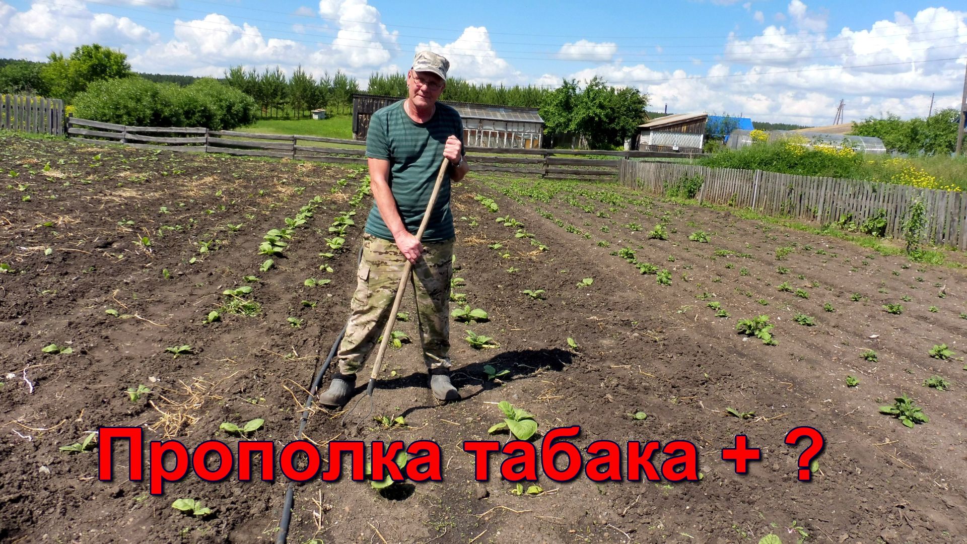 После дождей - это очень важно - прополка и рыхление. смотреть онлайн