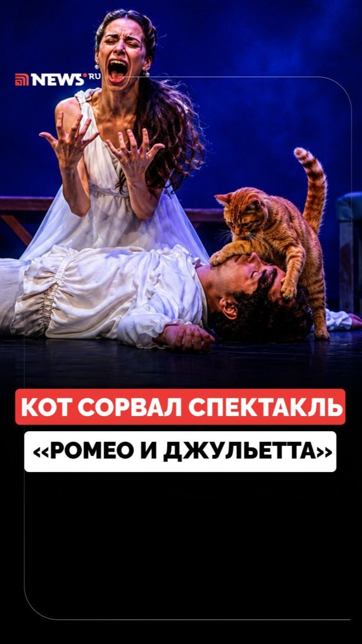 Кот испортил кульминационную сцену спектакля Ромео и Джульетта в Турции