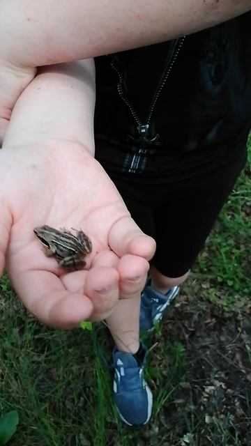 лягушонок 🐸🐸🐸🐸