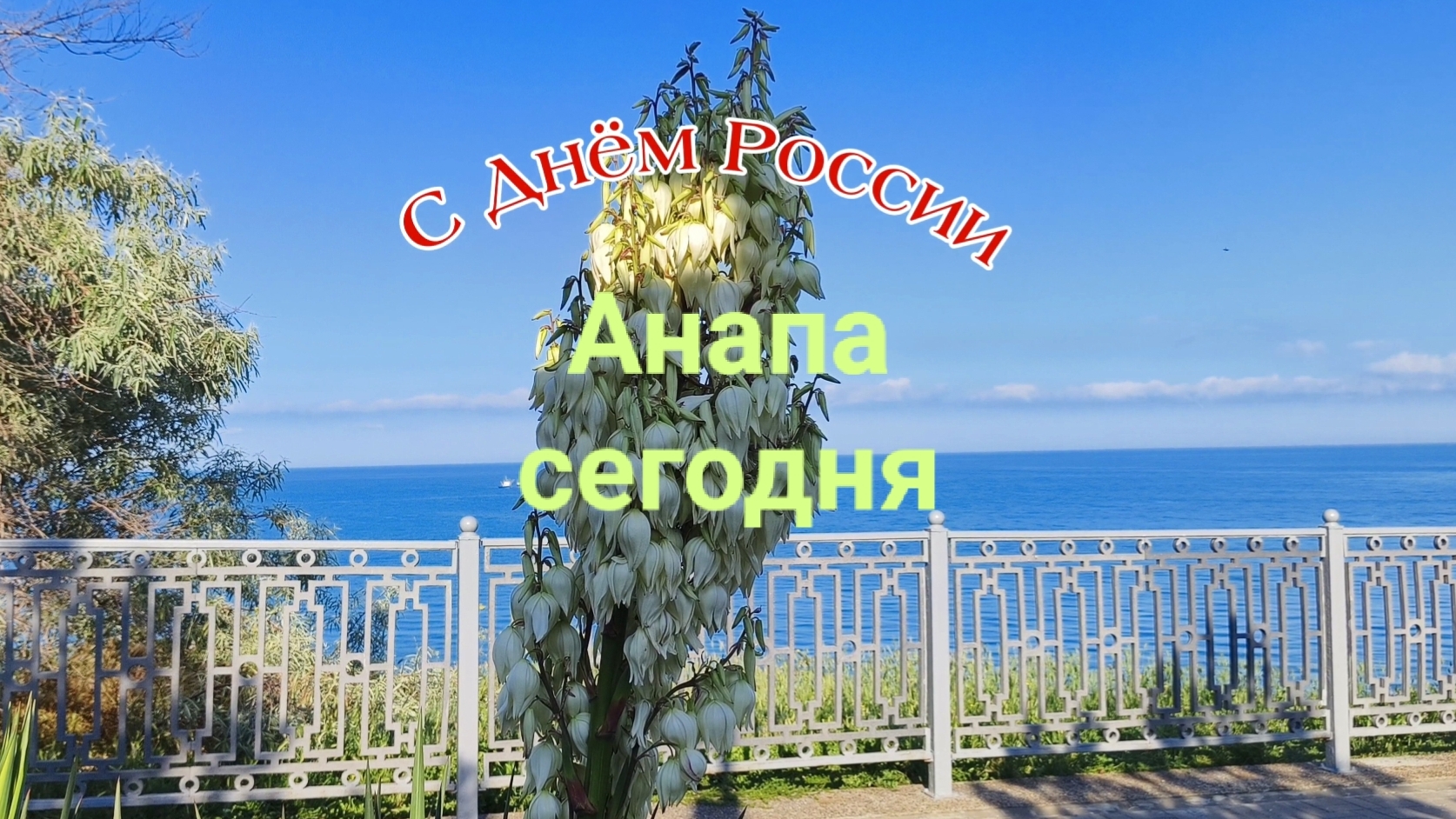 Анапа Сегодня 12.06.2026 смотреть онлайн