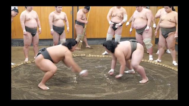 Прогнозы Турнир в Париже 2026 Сумо на русском (Paris Sumo Tournament Predictions) смотреть онлайн