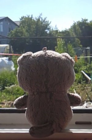 вопросики﹤3