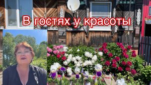 Позвали на окрошку, а попала...