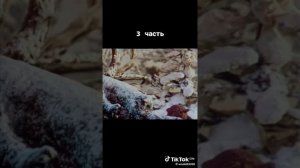 Из серии очень добрые мультфильмы