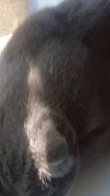 1000010476.mp4 смотреть онлайн